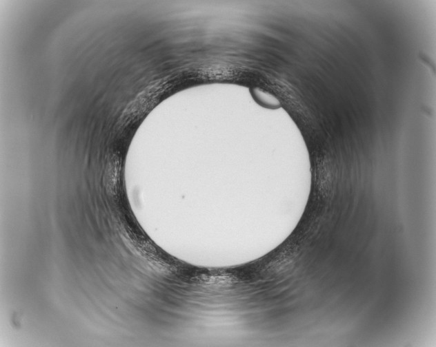 X0000102020645200808151316