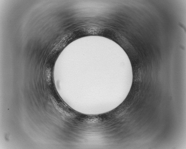 X0000102020646200808151316