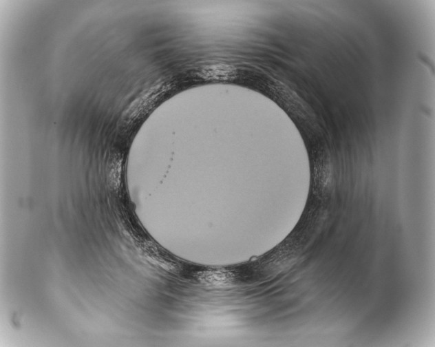 X0000102020652200808151316