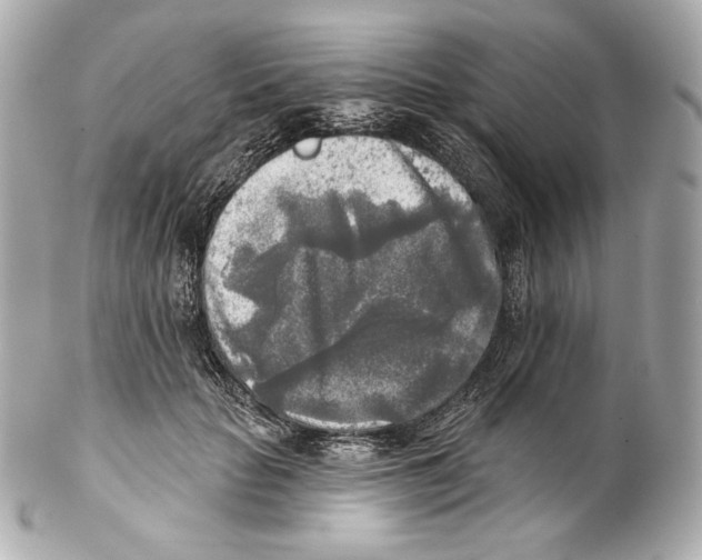 X0000102020653200808151316