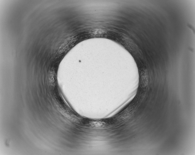 X0000102020654200808151316