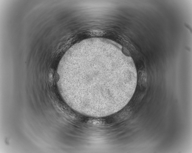 X0000102020655200808151316