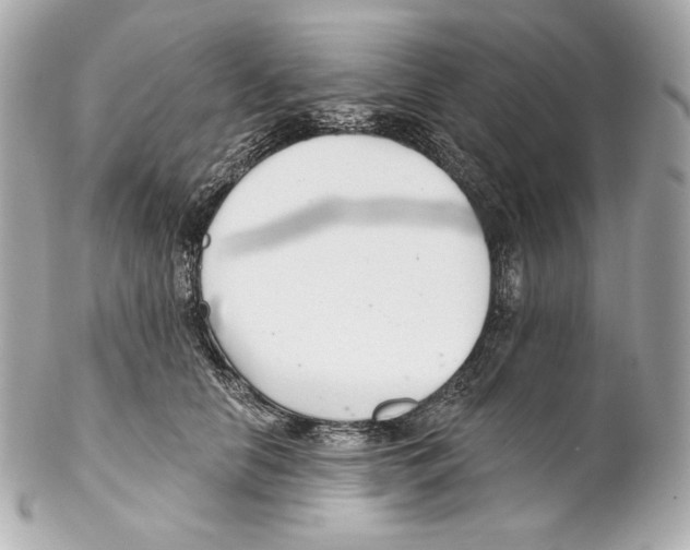X0000102020658200808151316