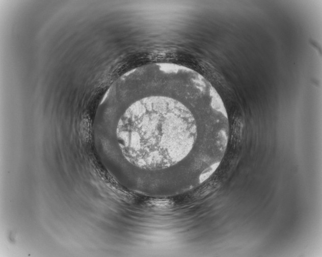 X0000102020659200808151317