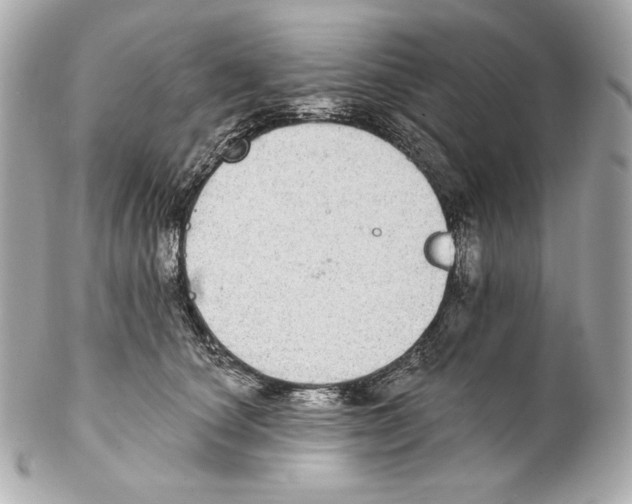 X0000102020660200808151317