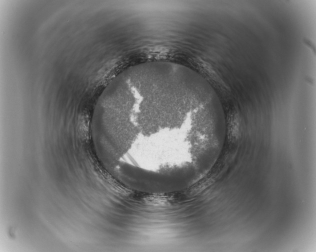 X0000102020661200808151317