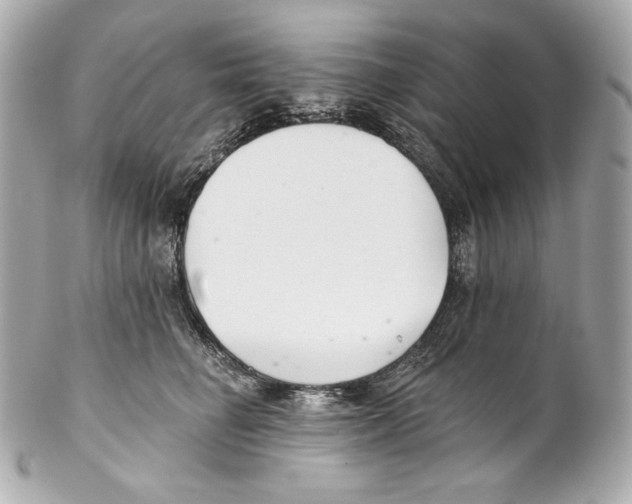 X0000102020662200808151317