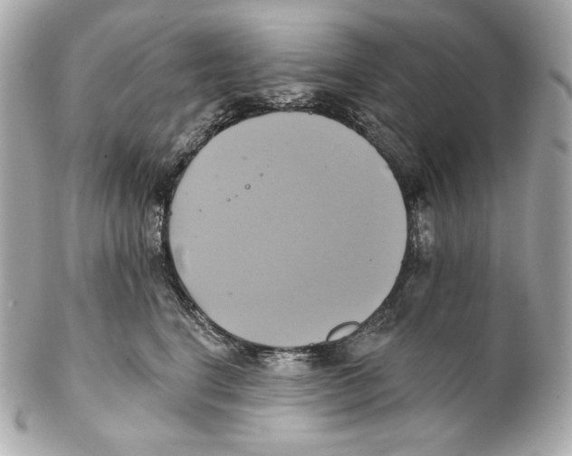 X0000102020664200808151317