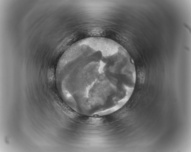 X0000102020665200808151317