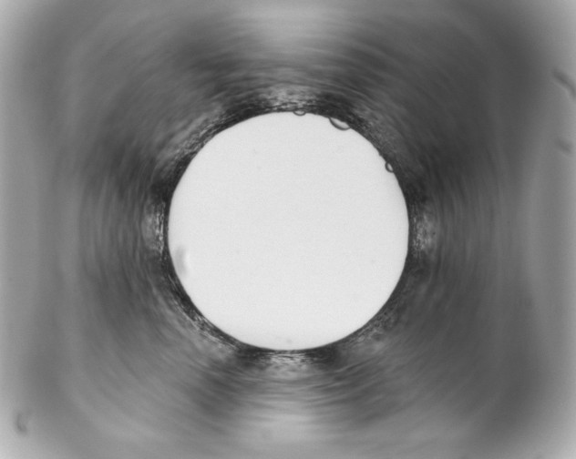 X0000102020666200808151317