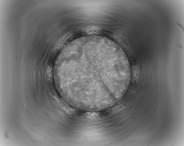 X0000102020667200808151317