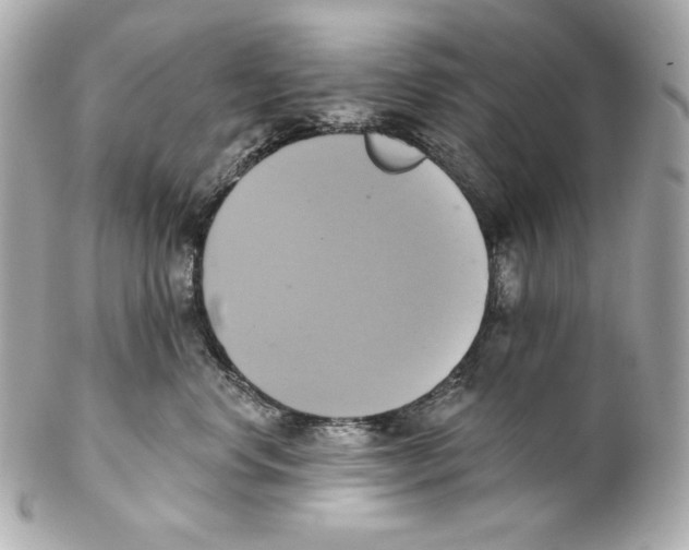 X0000102020668200808151317