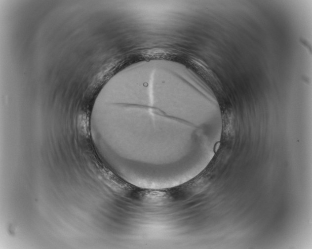 X0000102020669200808151317