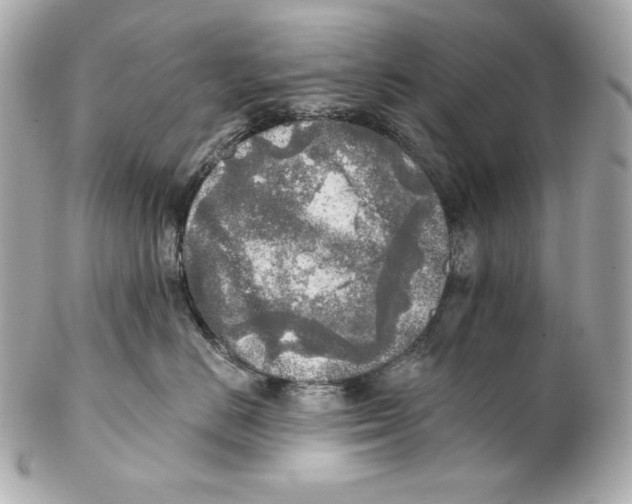 X0000102020670200808151317