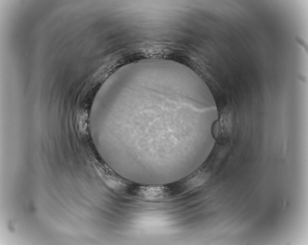 X0000102020671200808151317