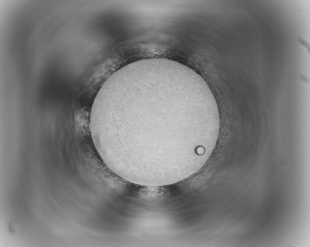 X0000102020672200808151317