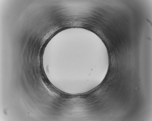 X0000102020674200808151316