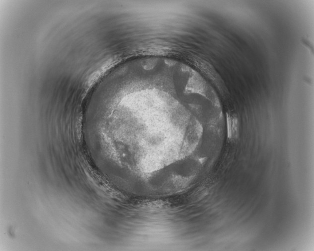 X0000102020675200808151316