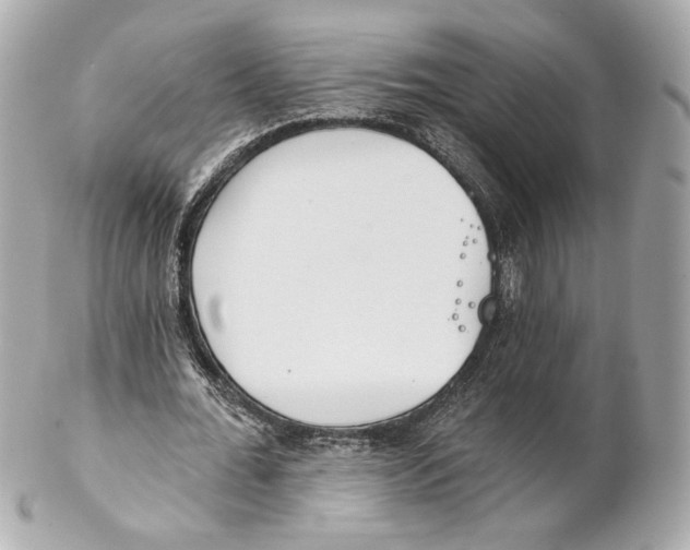 X0000102020676200808151316