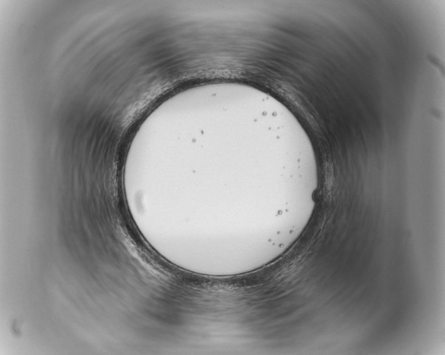 X0000102020677200808151316