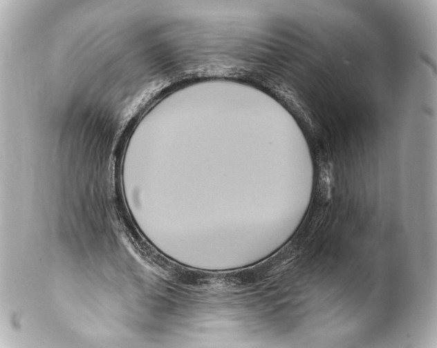 X0000102020678200808151316