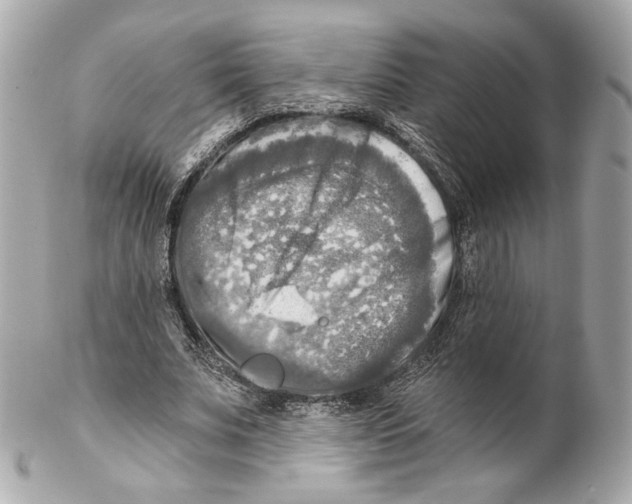 X0000102020679200808151316