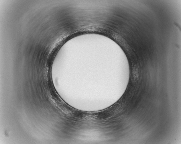 X0000102020680200808151316