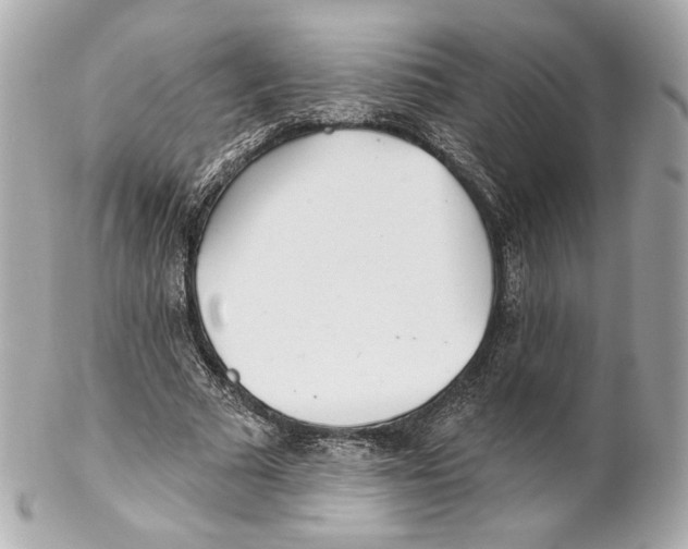 X0000102020681200808151316