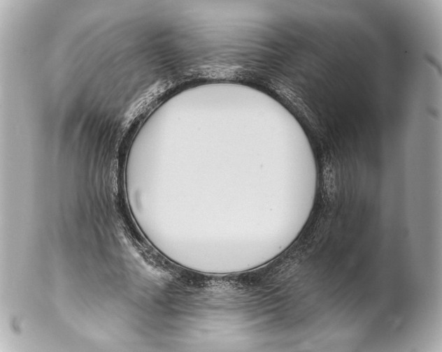 X0000102020682200808151316