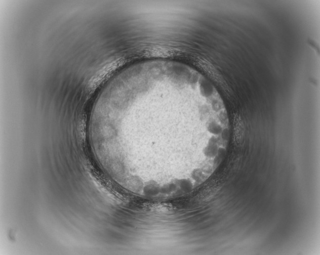 X0000102020683200808151316