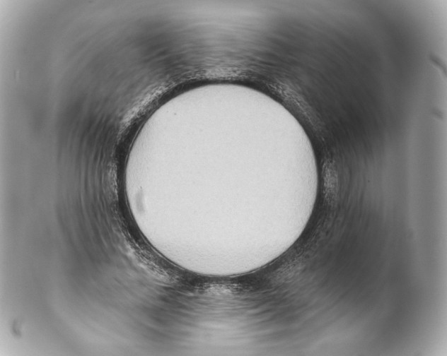 X0000102020684200808151316