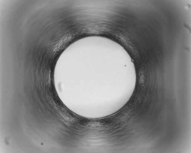 X0000102020685200808151316