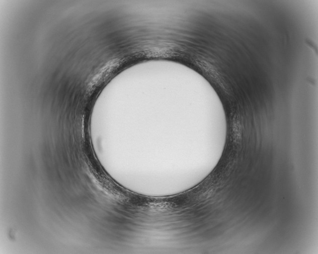 X0000102020686200808151316