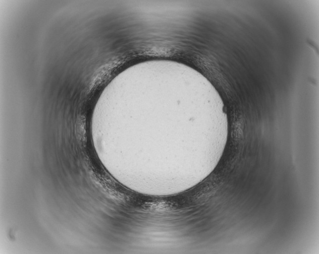X0000102020688200808151316
