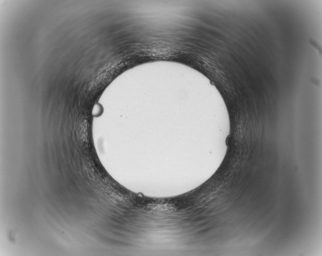 X0000102020689200808151316