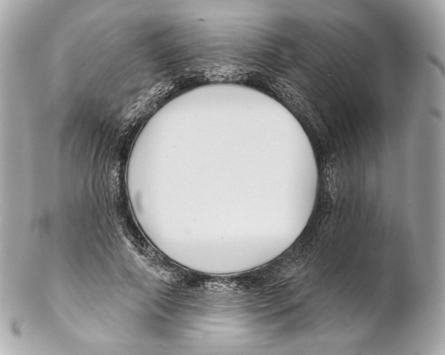 X0000102020690200808151316