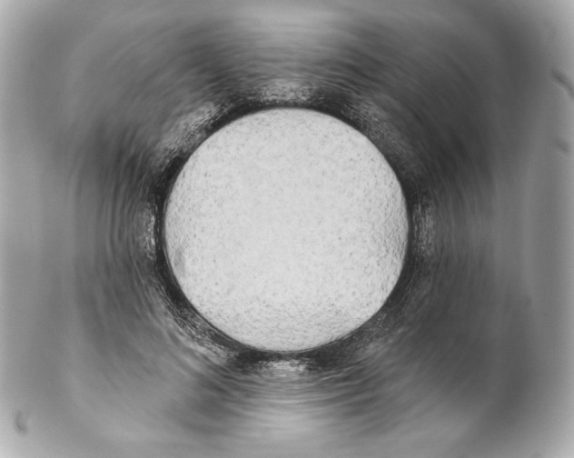 X0000102020692200808151316