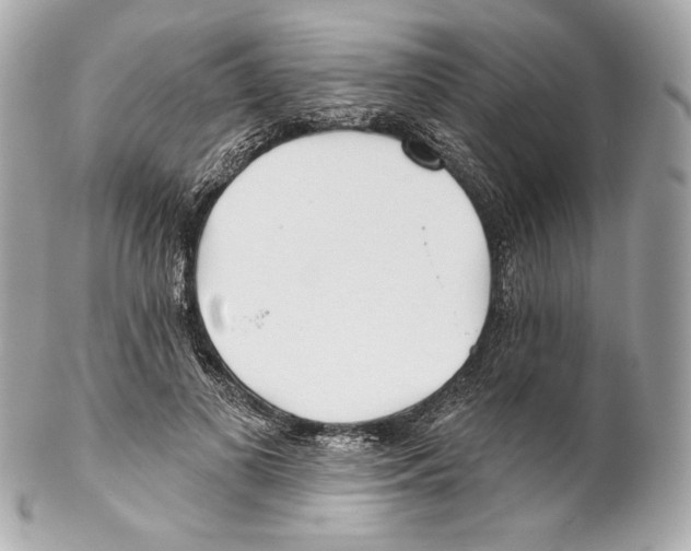 X0000102020693200808151316