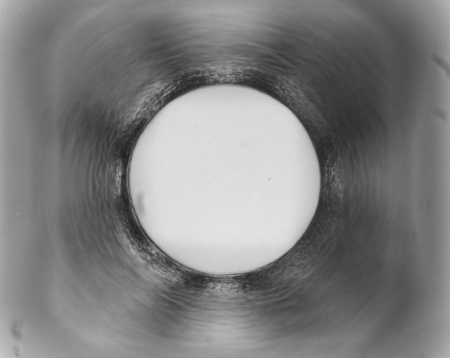X0000102020694200808151316