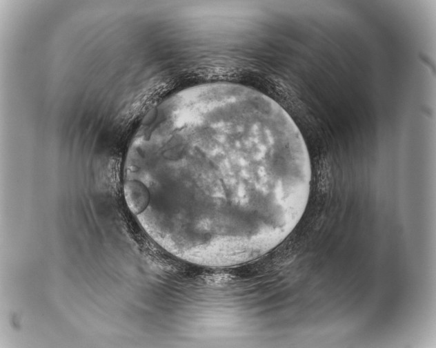 X0000102020695200808151316