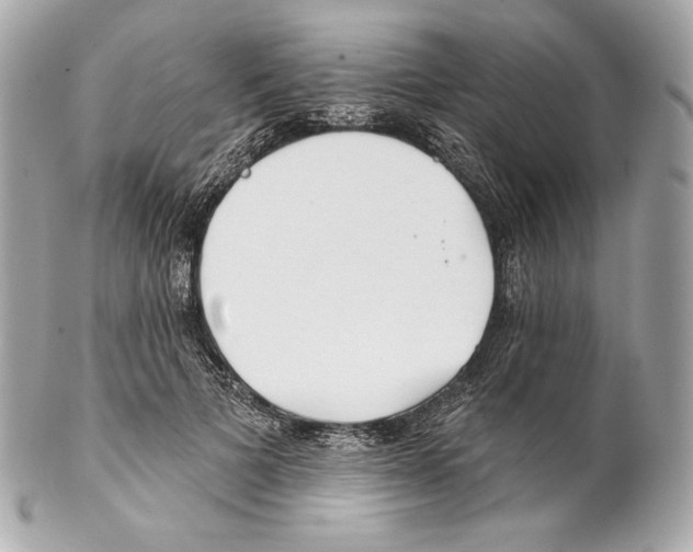 X0000102020697200808151316