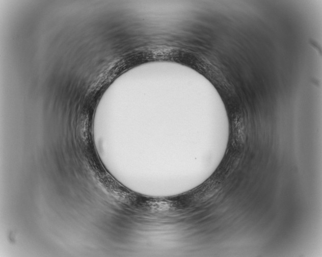 X0000102020698200808151316