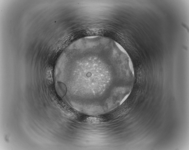 X0000102020699200808151316