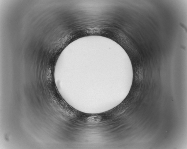 X0000102020700200808151316