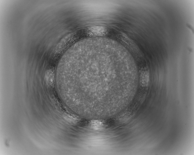 X0000102020701200808151316