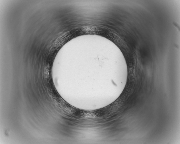 X0000102020702200808151316