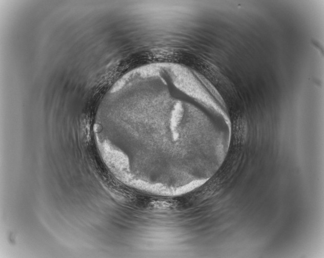 X0000102020703200808151316