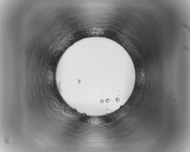 X0000102020704200808151316