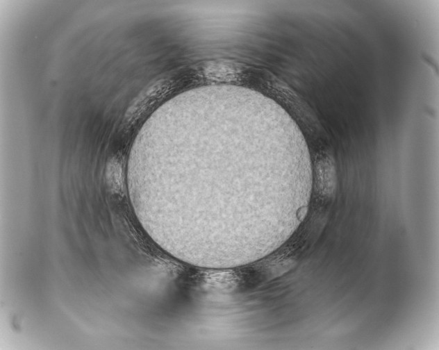 X0000102020705200808151316