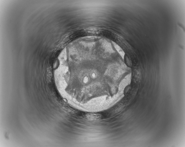 X0000102020707200808151316